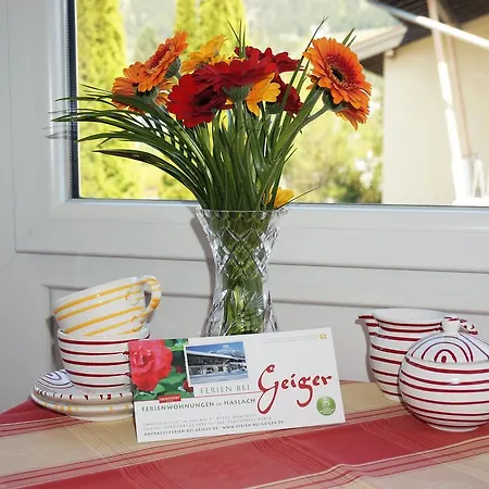 アパート Geiger *